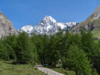14 Kurztrip nach Osttirol - Österreich